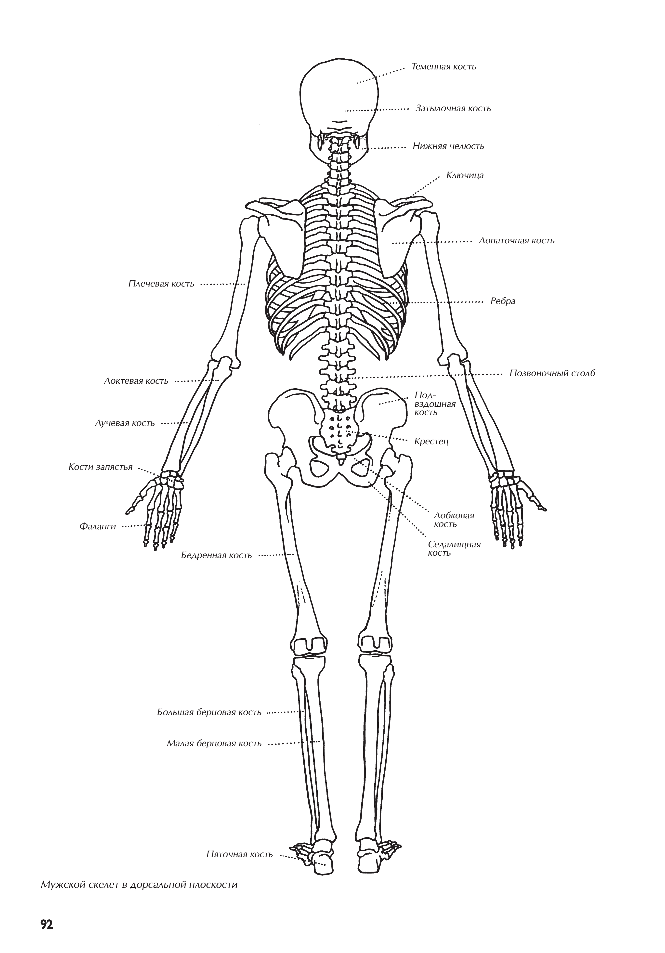 آموزش نقاشی طراحی سیاه قلم شهرری